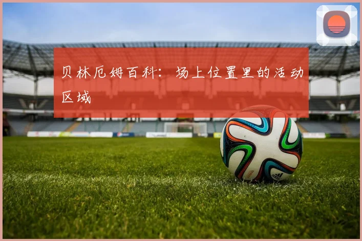 贝林厄姆百科:场上位置里的活动区域