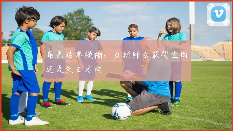 角色边界模糊,分析师会获得空间还是失去方向
