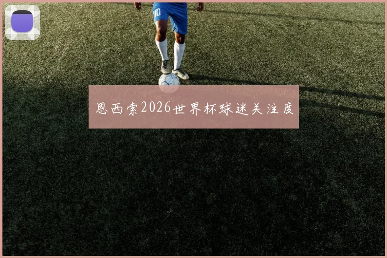 恩西索2026世界杯球迷关注度
