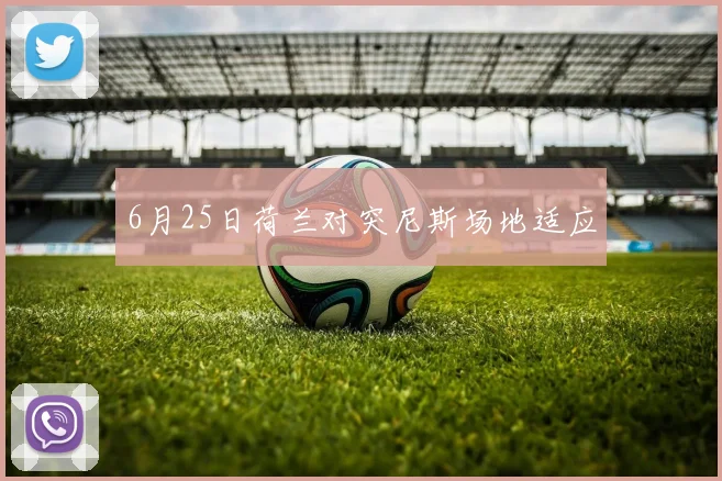 6月25日荷兰对突尼斯场地适应