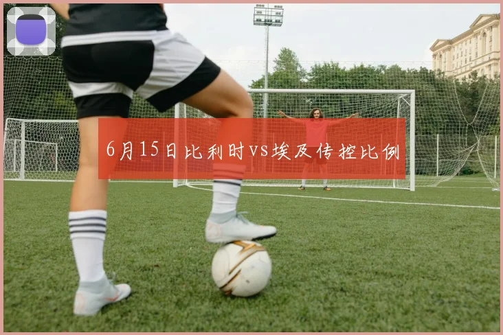6月15日比利时vs埃及传控比例